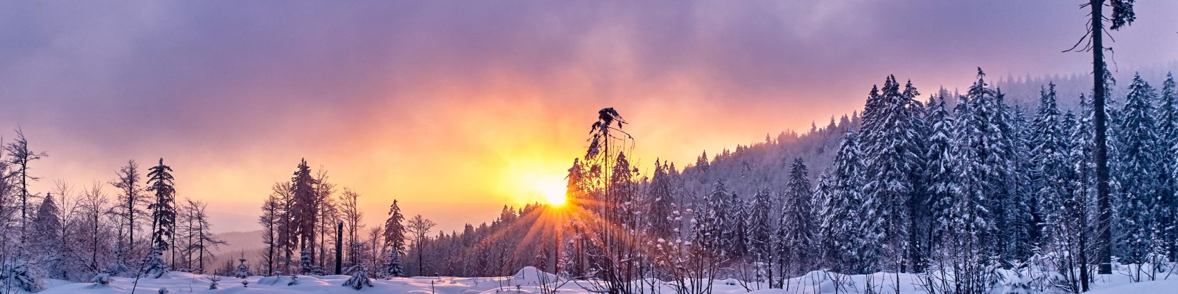 Der Bayerische Wald im Winter