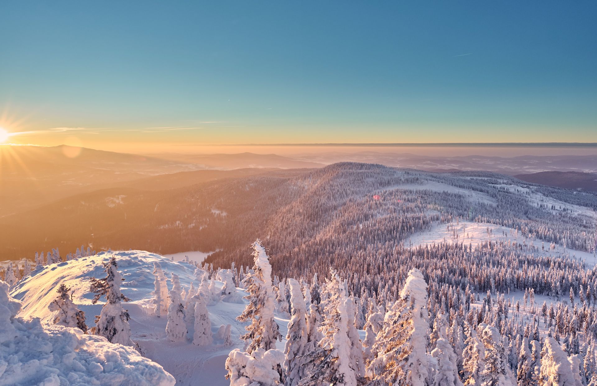 Der mit Schnee bedeckte Bayerische Wald
