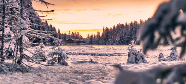 Der Bayerische Wald im Winter
