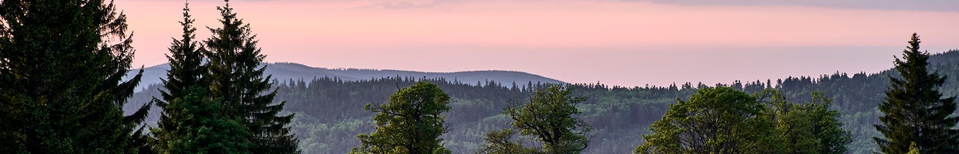 Der Bayerische Wald um den Reischlhof herum am Abend