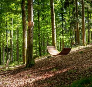 Reischlhof Waldspa Baumschaukel