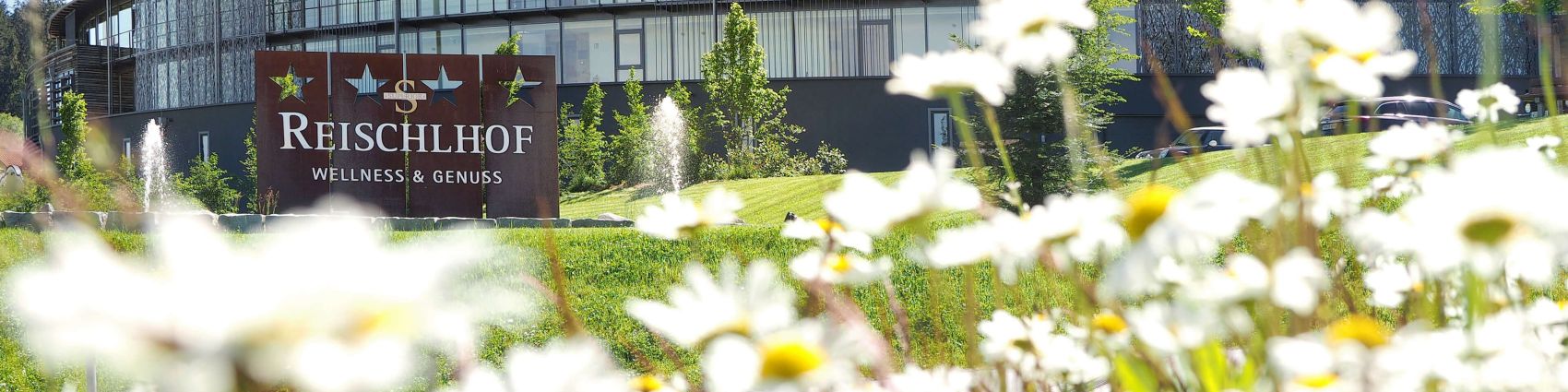 Zufahrt zum Reischlhof im Frühling