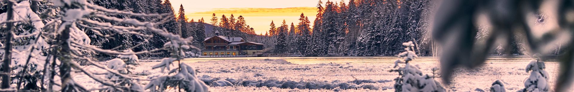 Der Bayerische Wald im Winter