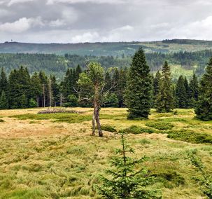 Naturkulisse