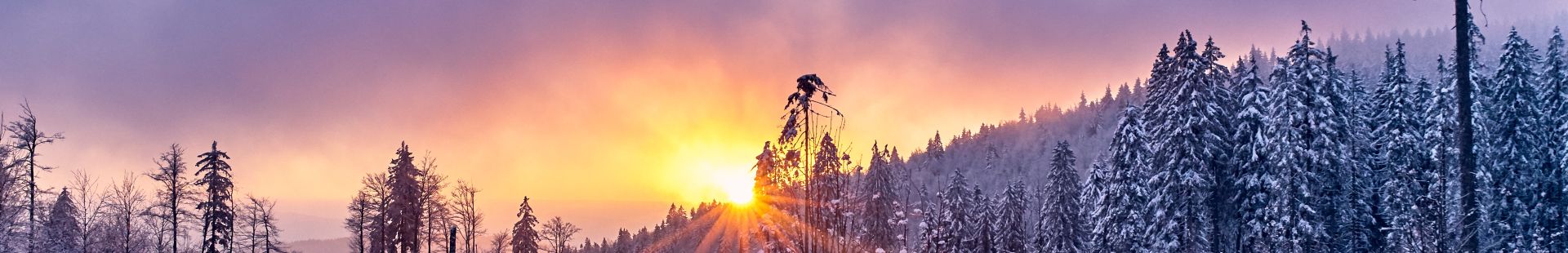 Der Bayerische Wald um den Reischlhof herum im Winter