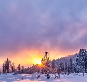 Wintererlebnisse
