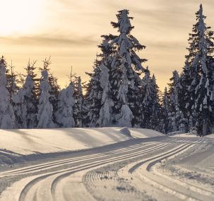 Der Bayerische Wald im Winter